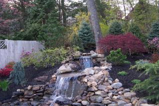 Gerard McCluskey Landscape Design